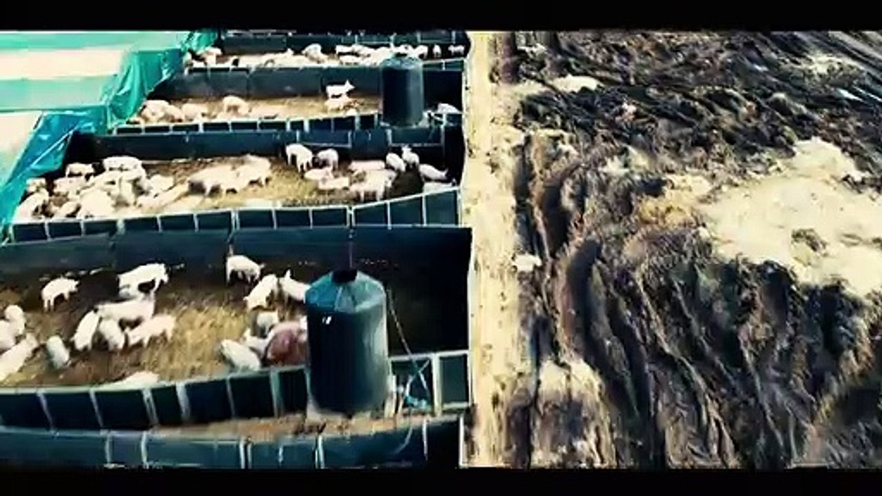 Eating Our Way to Extinction | movie | 2021 | Official Trailer