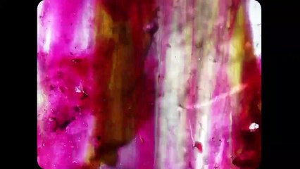 8º Super Off - Intervenção em Super 8 | movie | 2021 | Official Trailer