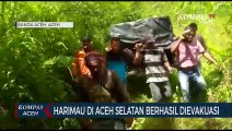 Harimau Sumatera di Aceh Selatan Berhasil di Evakuasi