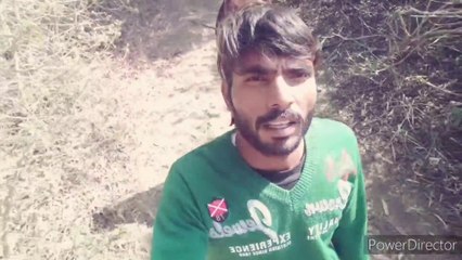 सरसो की फसल जल गई  sarso ki fasal jal gei #vlog #vlogvideo #सरसों #myfirstvlog   दोस्तो हमारा सरसो ठंड से जल गया  sarso ki kheti सरसो की खेती खेती किसानी kisaan  kisan kisan kheti  #sarso