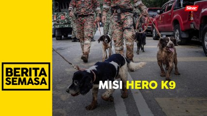 [DIKEMAS KINI]  Gempa bumi Turkiye: Anjing K9 bomba turun padang tangguh