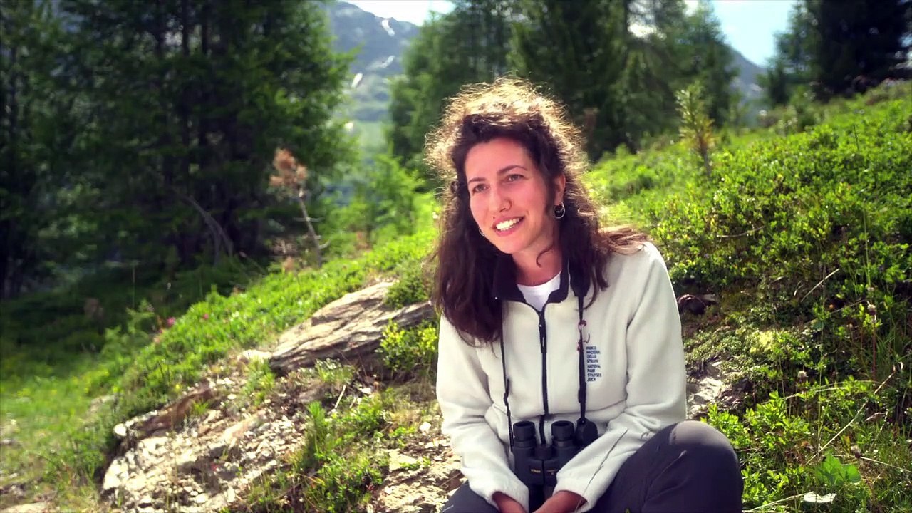 Das Veltlin und seine Berge | movie | 2021 | Official Trailer