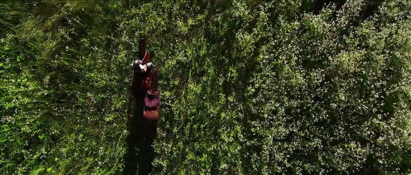 Aus Liebe zum Mustang | movie | 2017 | Official Trailer