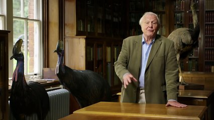 A nagytestű madarak nyomában David Attenborough-val | movie | 2015 | Official Trailer