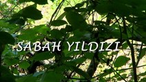 Sabahattin Ali: Sabah Yıldızı | movie | 2012 | Official Trailer