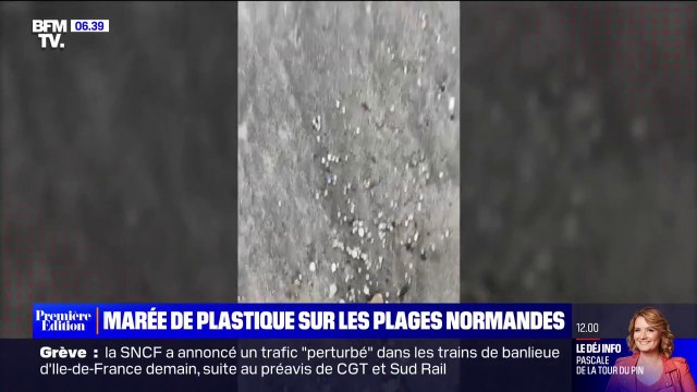 Le littoral normand touché à son tour par une pollution aux billes de plastique