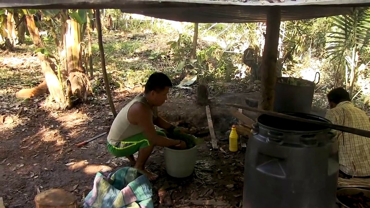 AYAHUASCA - Einer uralten Medizin auf der Spur | movie | 2017 | Official Trailer