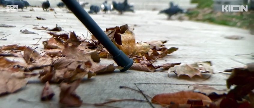 Синдром жизни | movie | 2022 | Official Trailer