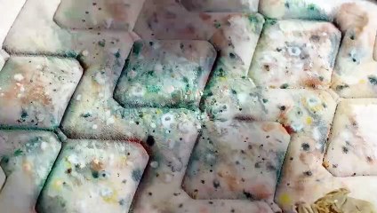 The Fifth Thoracic Vertebra | movie | 2022 | Official Trailer