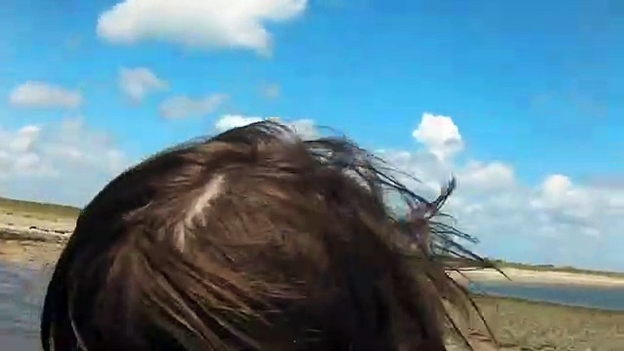 Shin Nutter | movie | 2022 | Official Trailer