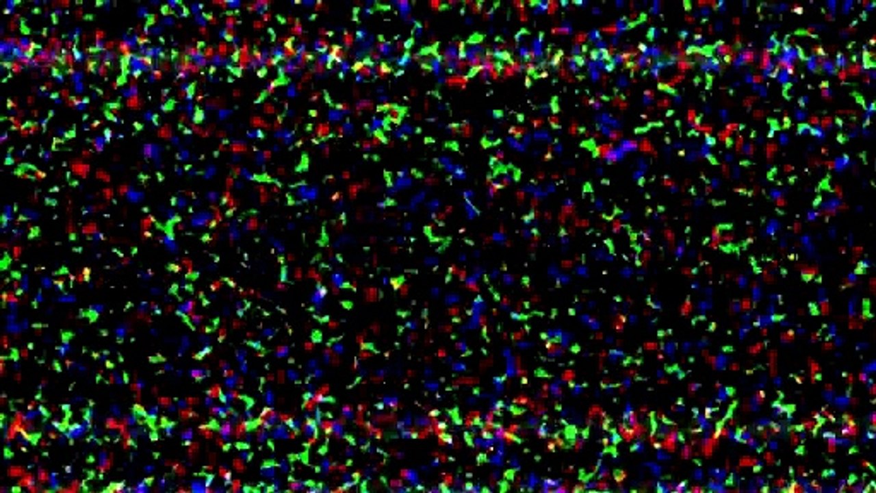 Blood Red Sandman | movie | 2017 | Official Trailer