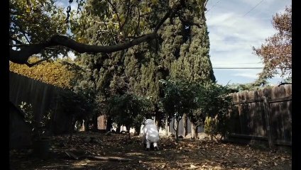 Spoonful Of Sugar Trailer OV