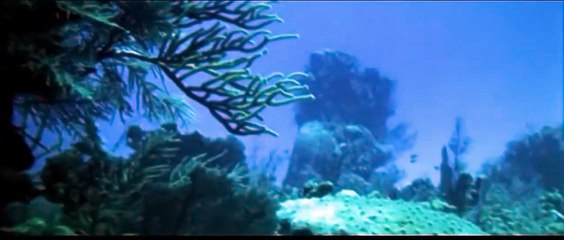 Die Odyssee der Neptun | movie | 1973 | Official Trailer