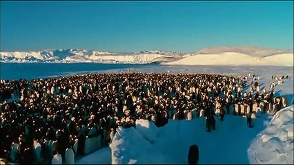La marcia dei pinguini | movie | 2005 | Official Trailer