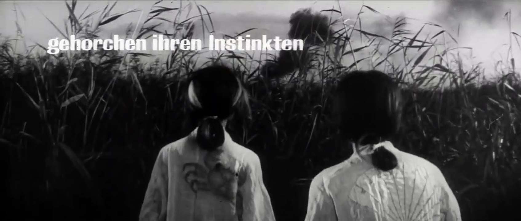 Onibaba - Die Töterinnen | movie | 1964 | Official Trailer