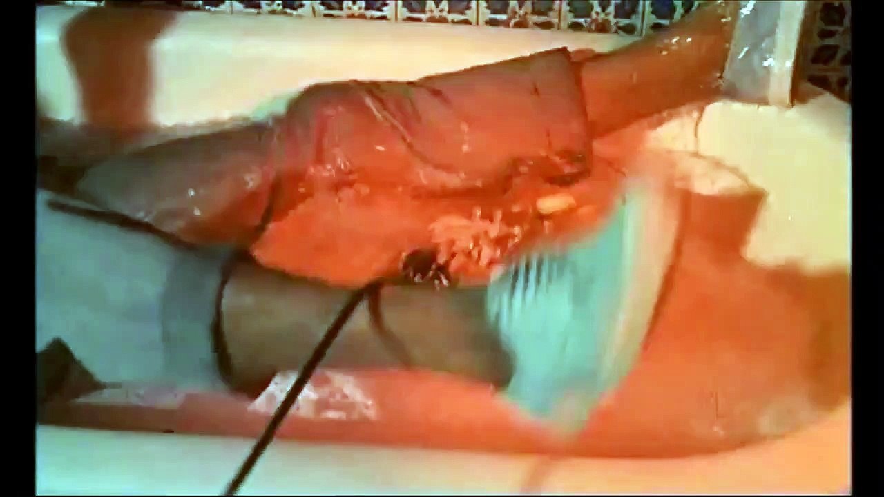 James Bond 007 - Goldfinger | movie | 1964 | Official Trailer