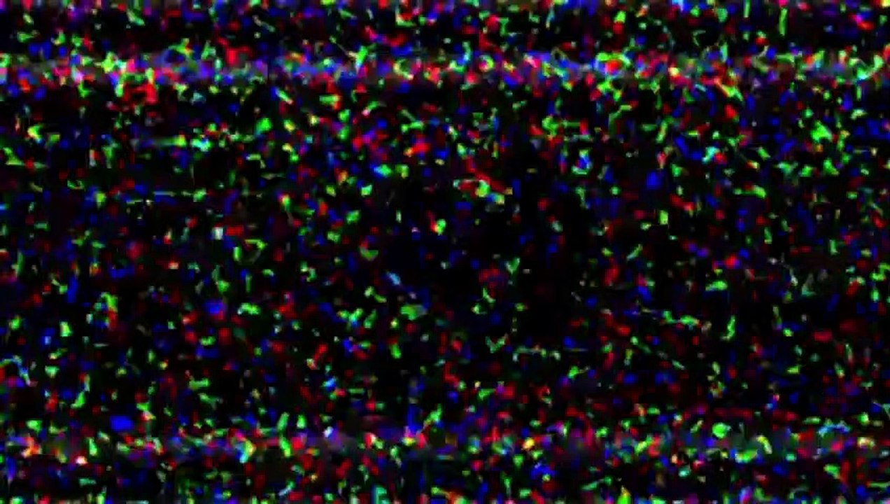 The Marine 4: Moving Target | movie | 2015 | Official Trailer