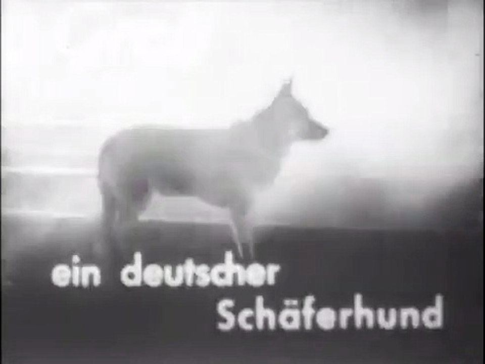 Sein bester Freund | movie | 1937 | Official Trailer