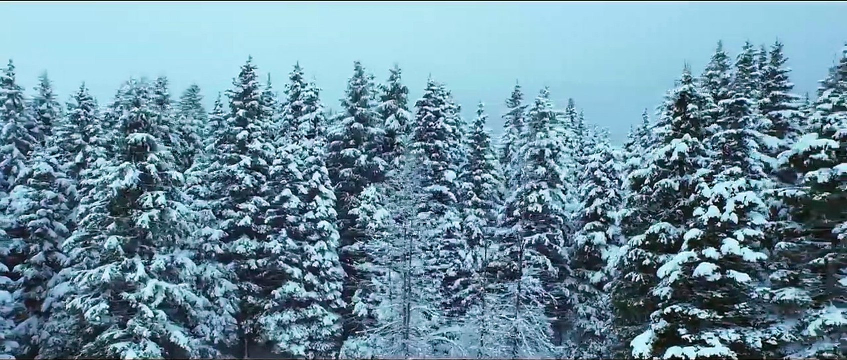 Frozen Money | movie | 2016 | Official Trailer