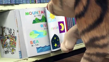 Жил-был кот | movie | 2016 | Official Trailer