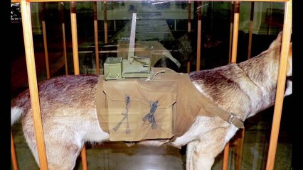 10 senjata yang paling kuat pada masa perang  dunia kedua