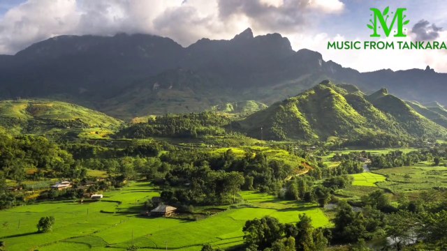 Beautiful piano music || Nature sounds || Stress relief music || Calm music