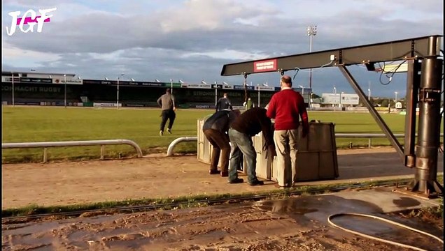Australian Greyhound dogs racing || Dogs Day