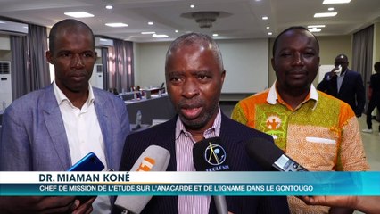 La Caritas et l'Anader mènent une étude diagnostique des chaines de valeurs anacarde et igname