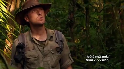 Ještě než zmizí | movie | 2021 | Official Teaser