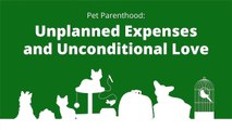 Pet owners average $1,100 spent during the first months of pet parenthood