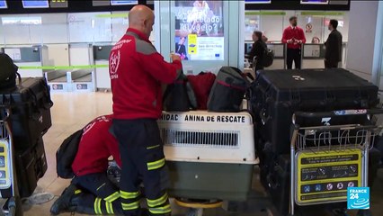 Engineers, search dogs, rescue teams sent sent from all over the world to Turkey, Syria after quake