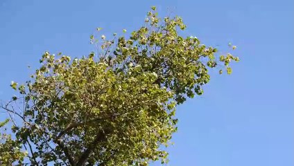 Ekvilibrium | movie | 2021 | Official Clip