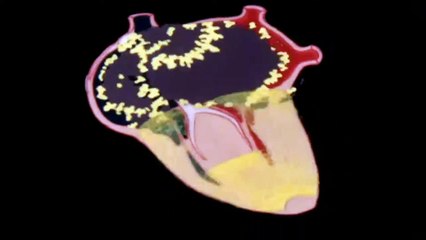 Bliss | movie | 2019 | Official Featurette