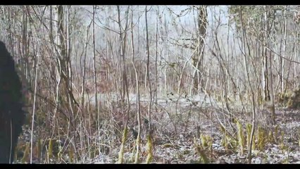 Bjorn & Frida | movie | 2021 | Official Featurette