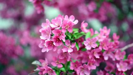 Catching The Bus | movie | 2021 | Official Featurette