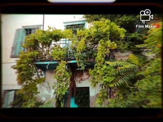 As I walk by the sea, I wonder why people destroy it. | movie | 2021 | Official Featurette