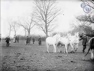 Lights and Shades on the Bostock Circus Farm | movie | 1911 | Official Featurette