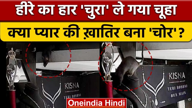 Thief Rat Stolen Diamond Necklace: गहने की दुकान से हार चुराते चूहे का Video Viral | वनइंडिया हिंदी