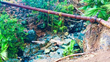 An Abundance of Blue | movie | 2019 | Official Clip