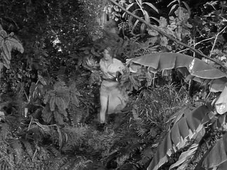 Tarzan's Hidden Jungle | movie | 1955 | Official Clip