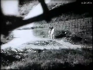 Don Quixote | movie | 2005 | Official Clip