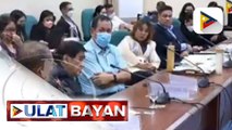 Pagkakaroon ng technical working group sa siyang bubuo ng guidelines para sa RCEP, napagkasunduan sa pagdinig sa Senado