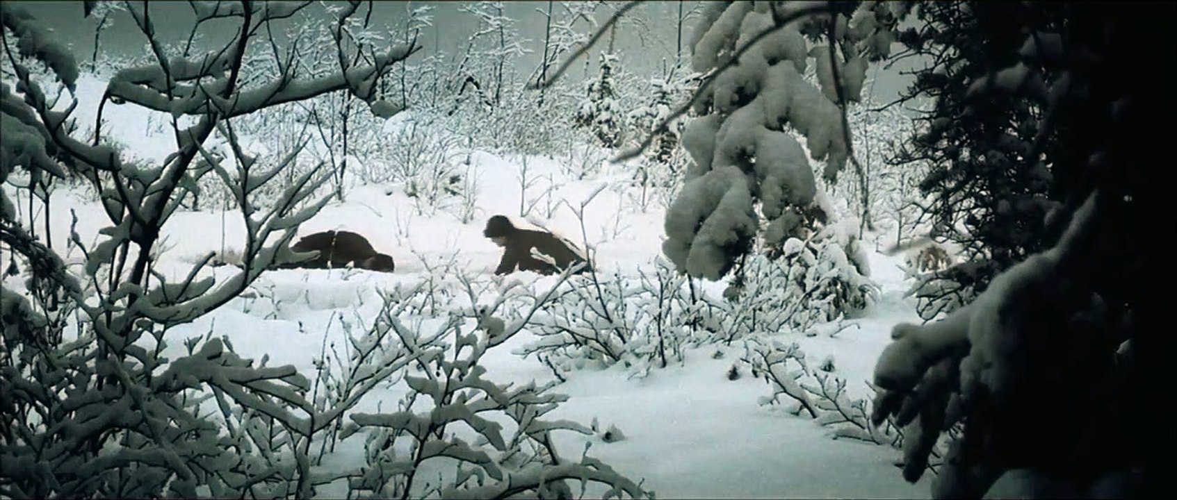 Jenseits aller Grenzen | movie | 2003 | Official Clip