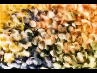 No Corras Tanto | movie | 2009 | Official Clip