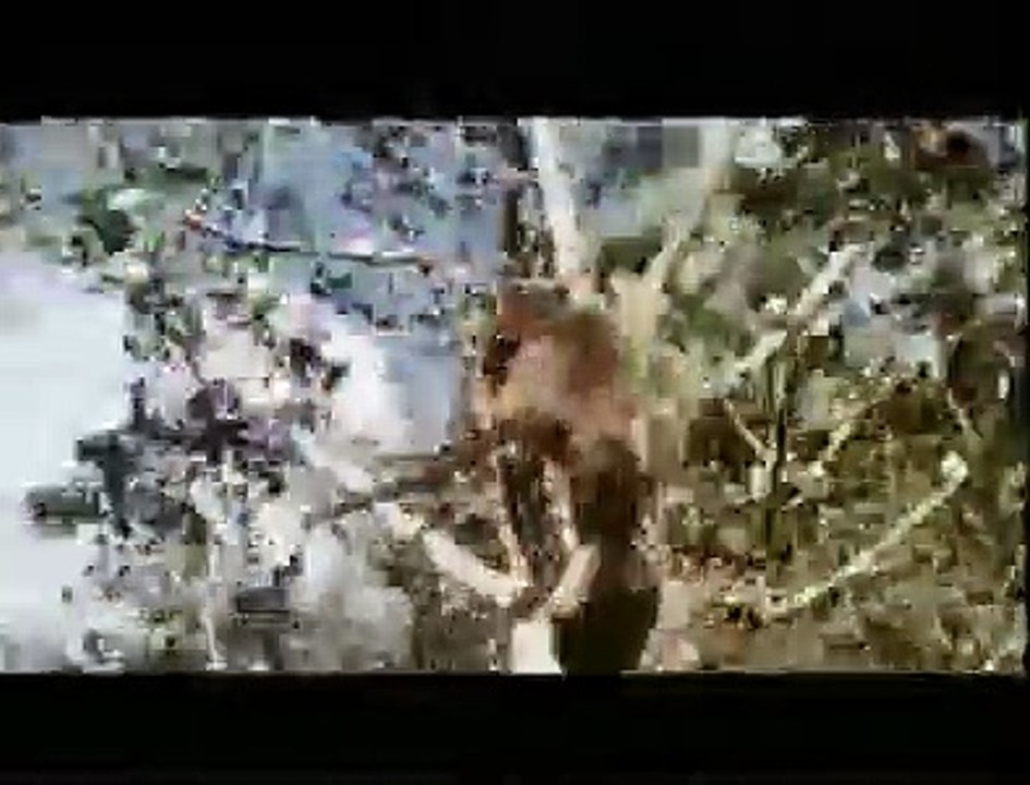 Die lustige Welt der Tiere | movie | 1974 | Official Clip