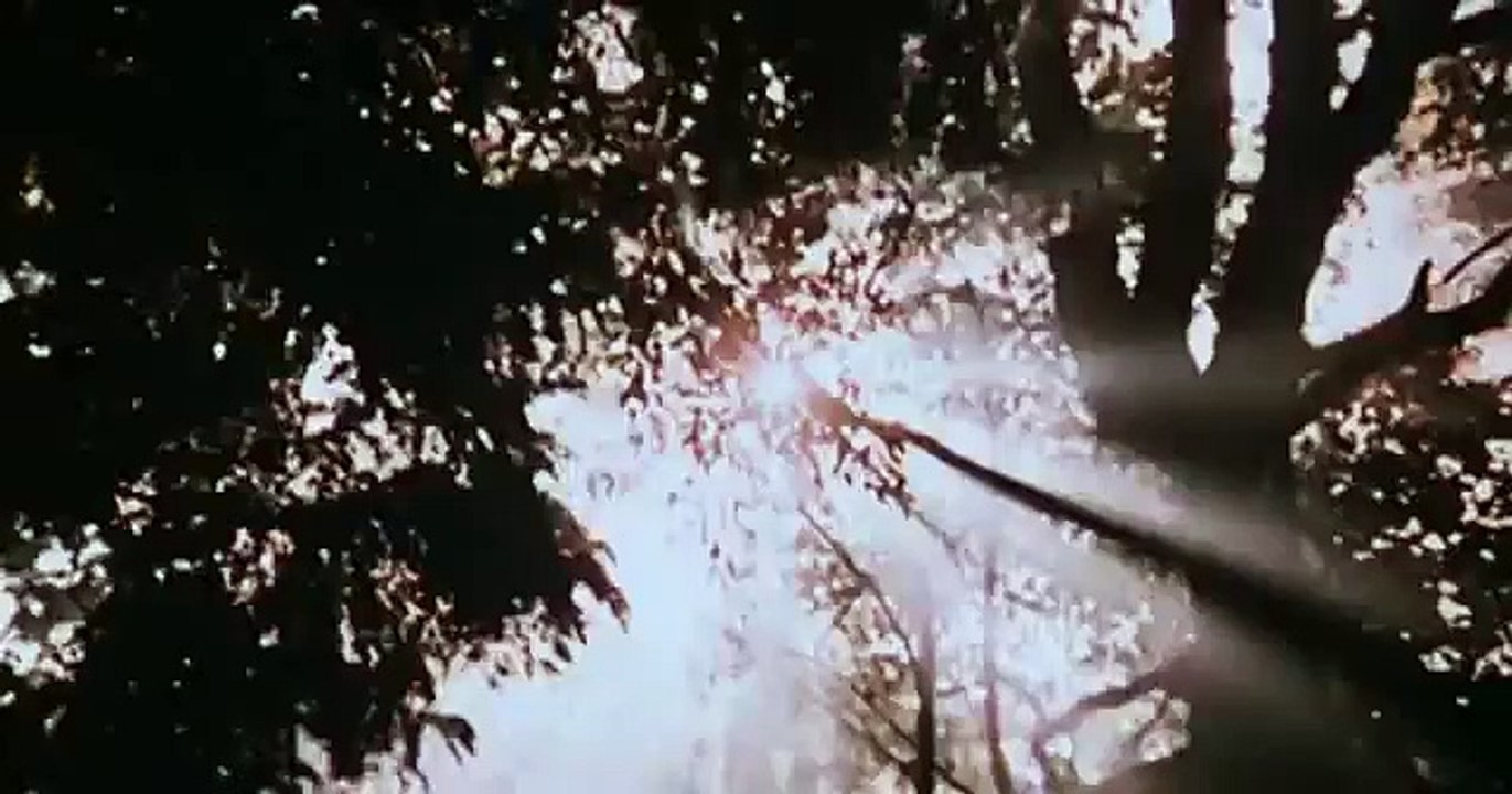 Libido Mania - Alle Abarten dieser Welt | movie | 1980 | Official Clip