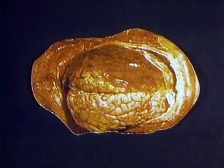 Mein Papi | movie | 1982 | Official Clip