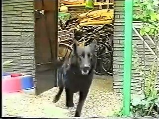 Ich piss' auf deinen Kadaver | movie | 1999 | Official Clip