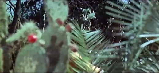 Eolomea | movie | 1972 | Official Clip