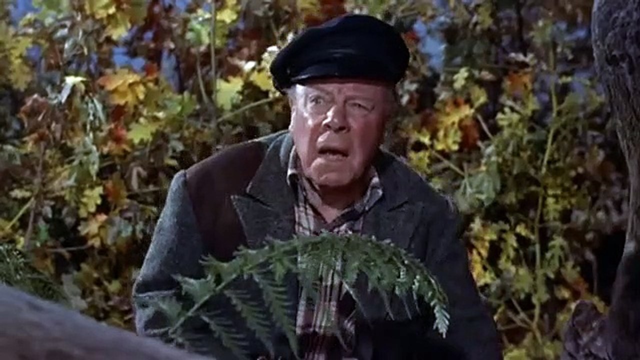 Immer Ärger mit Harry | movie | 1955 | Official Clip